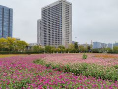 -映月湖中央公园