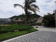 -东澳岛