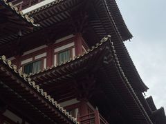 -新加坡佛牙寺龙华院