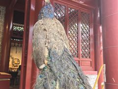 -南沙天后宫景区