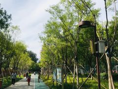 -回龙观体育文化公园