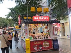 -金砂公园