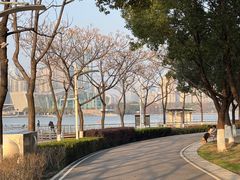 -月湖风景区