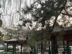 -宣武艺园