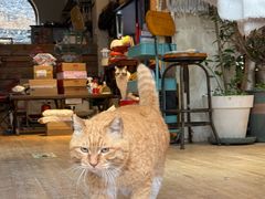 -小时光咖啡馆(开森度假森林店)