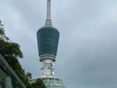 -梧桐山风景名胜区