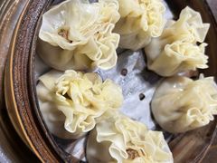 -百年老字号·马家烧麦馆(中街店)