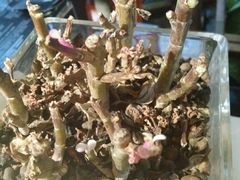 -嘚味徐州烧烤特色菜