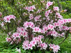 -广州市白云山风景名胜区