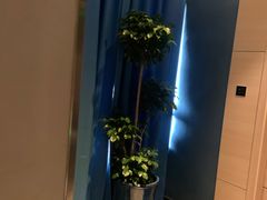 -JOYA湾悦国际酒店(世界之窗店)