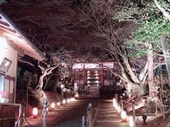 -野宫神社