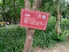 -东莞植物园