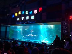 -泉城欧乐堡海洋极地世界