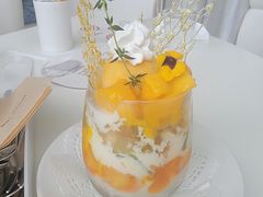 -金泽21世纪美术馆