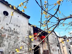 -清漾毛氏文化村