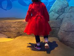 -沈阳海洋探索中心