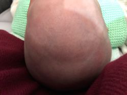 -龙文宝贝上门婴儿理发满月剃胎毛(闵行店)
