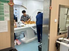 -康成宠物医院24H·CT·核磁共振