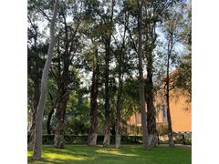 -中山大学广州校区南校园怀士堂