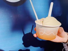 油柑茉莉-Dip in Gelato(富民路店)