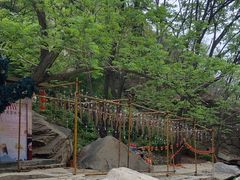-黑龙潭风景区