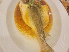 -晋阳春·山西菜·北京烤鸭(交大店)