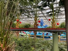 -南宫五洲植物乐园