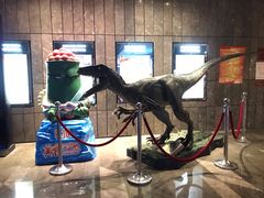 -武商摩尔影城(国广IMAX激光店)