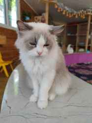 -萌宠亲子动物乐园(槐房万达店)