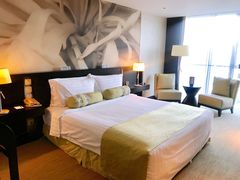 -国家会议中心大酒店