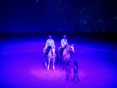 -cavalia·舞马