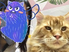 -藏猫猫咖啡主题馆(中央大道店)