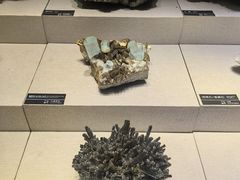 -河南自然博物馆