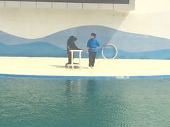 -北戴河圣蓝海洋公园