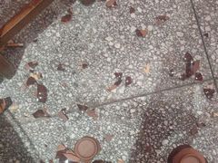 -巴人堂(女儿城店)