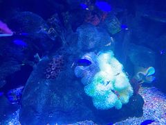 -沈阳海洋探索中心