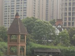 -成都南湖公园