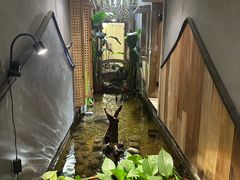 -邈墨茶馆(凤起路店)