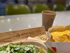 -油梨树AVOCADO TREE(嘉里中心店)