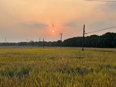 -上海佘山国家森林公园天马山园