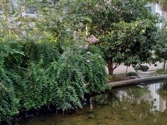 -华莱士·炸鸡汉堡(山水华庭店)