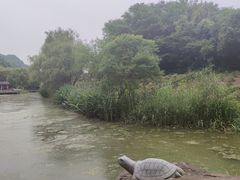 -幕燕滨江·长江观音景区