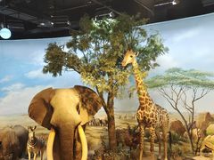 -陕西自然博物馆