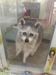 -萌宠亲子动物乐园(槐房万达店)