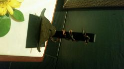 android_upload_pic-悦椿SPA