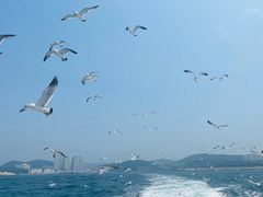 -星海广场