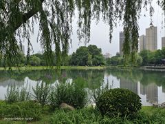 -堤角公园