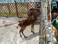 -萌宠亲子动物乐园(槐房万达店)