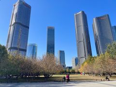 -大望京公园