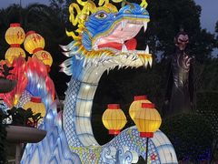 -东南花都花博园